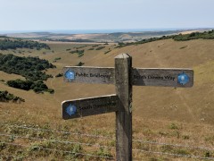 South Downs July 2018: Two days in the South Downs. First day spent walking along the South Downs Way from Eastbourne to Southease, spent the night in Lewes, then the second day visited the idyllic Breaky Bottom vineyard.